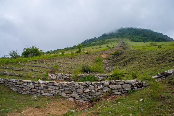 Landscape Erosion Mitigation