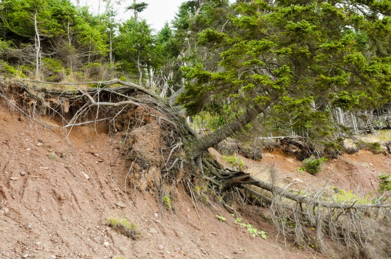 Land Erosion Management