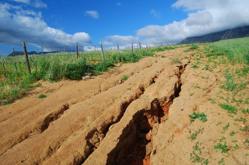 Land Erosion Management