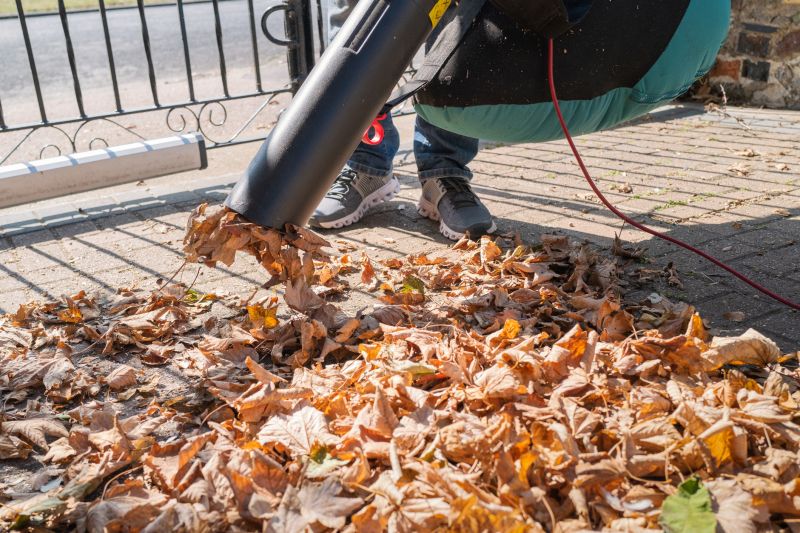 Professional Equipment for Leaf Collection