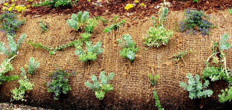 Land Erosion Management