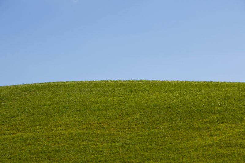 Vegetative Cover and Reforestation