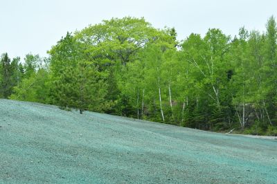 Erosion Control in Spring