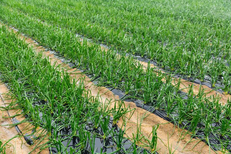 Agricultural Experts